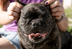 Lee más sobre el artículo Neque adipiscing an cursus